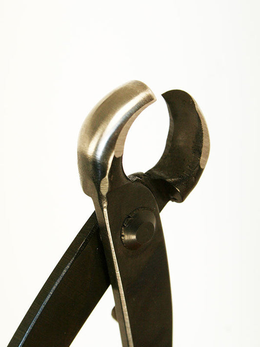 Pince à nœuds Bonsai 175 mm