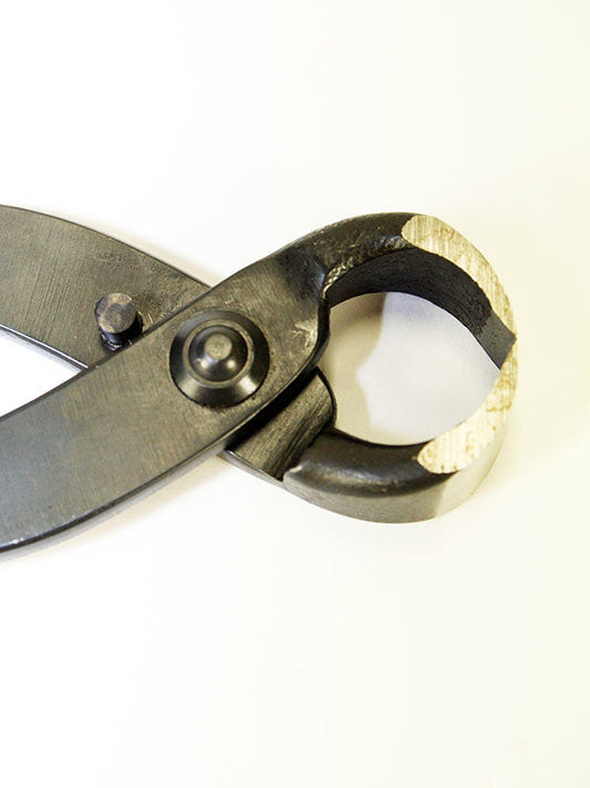 Pince à racines pour bonsaï 210 mm