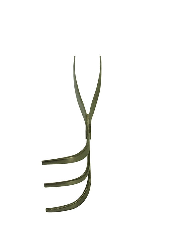 Pince et râteau pour bonsaï