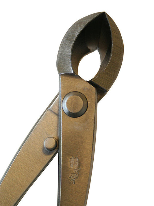 Pince concave Ryuga pour bonsaï en acier inoxydable 203 mm