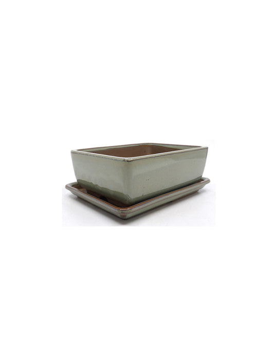 Pot à bonsaï vert beige rectangulaire 12 cm - lot