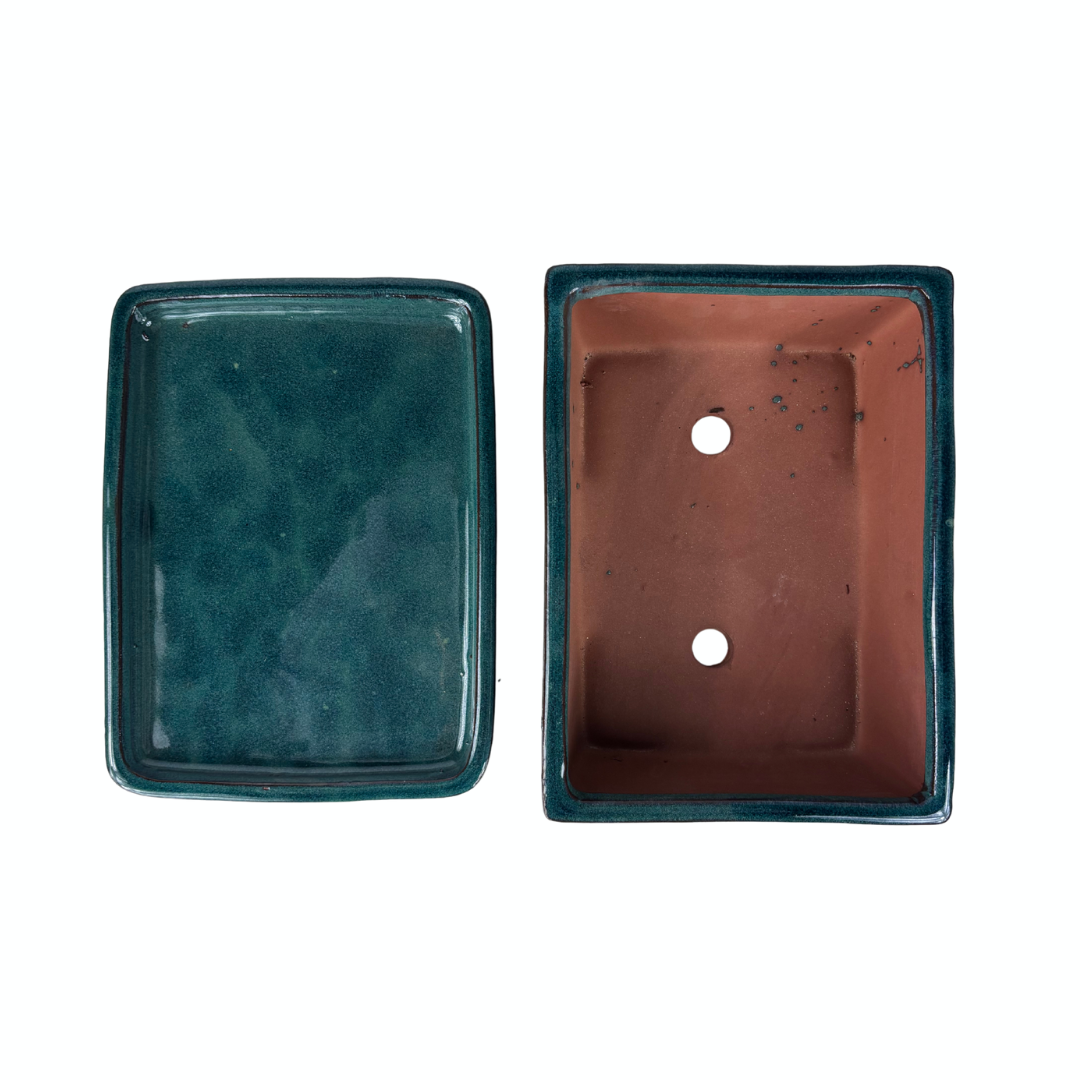 Pot à bonsaï rectangulaire vert 15 cm - lot