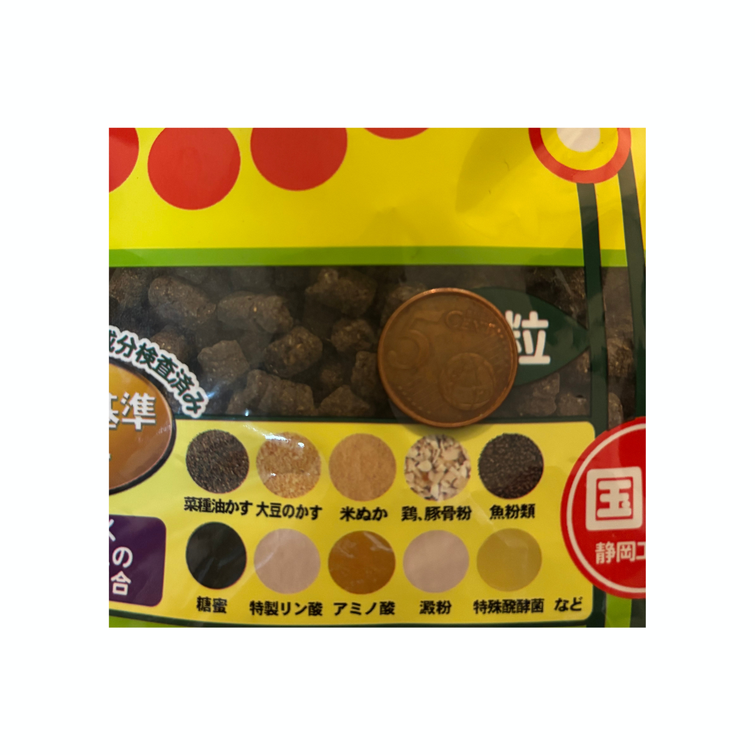 Bonsaï Tosho Aburakasu (petit grain) 600gr