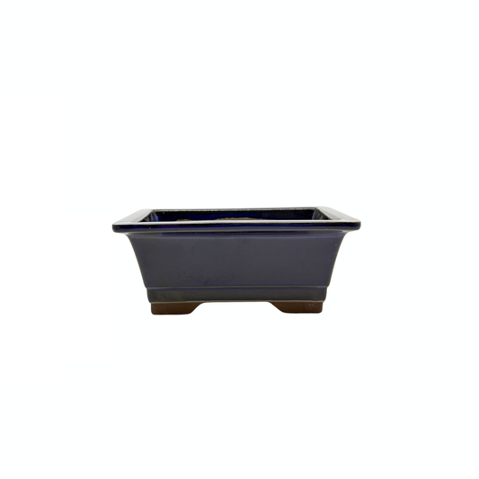 Ensemble de pots à bonsaï - rectangulaires, émaillés, bleus (14 cm de large)