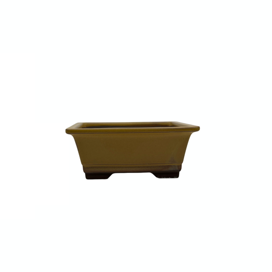 Ensemble de pots à bonsaï - rectangulaires, émaillés, jaunes (14 cm de large)