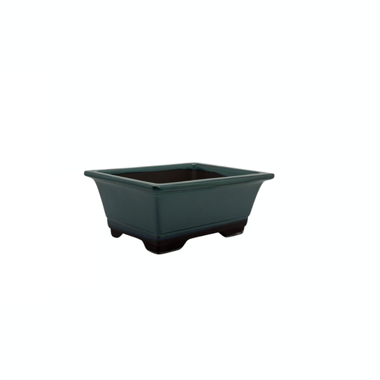Ensemble de pots à bonsaï - rectangulaires, émaillés, verts (14 cm de large)