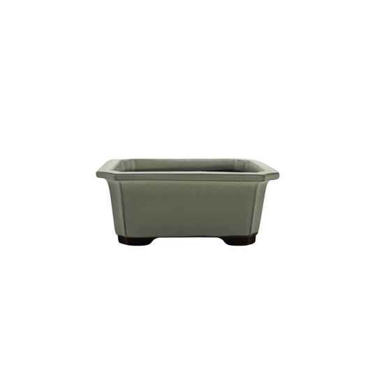 Ensemble de pots à bonsaï - rectangulaires, émaillés, crème (14 cm de large)