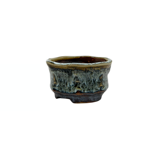 Pot Shohin Bonsai marron crème René Lecocq 9cm
