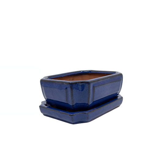 Pot bonsaï bleu rectangulaire 15cm - set
