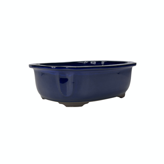 Pot à bonsaï bleu mokko 25 cm