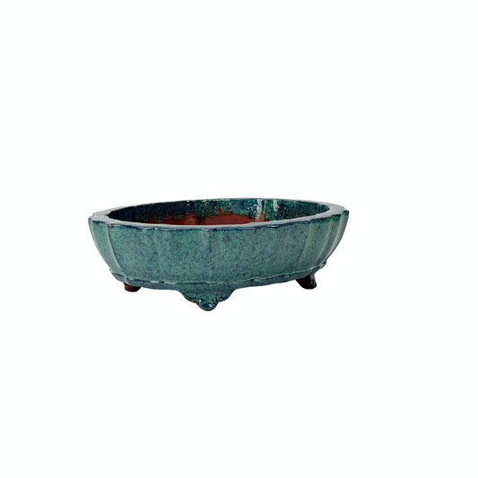 Pot à bonsaï bleu-vert ovale 17 cm