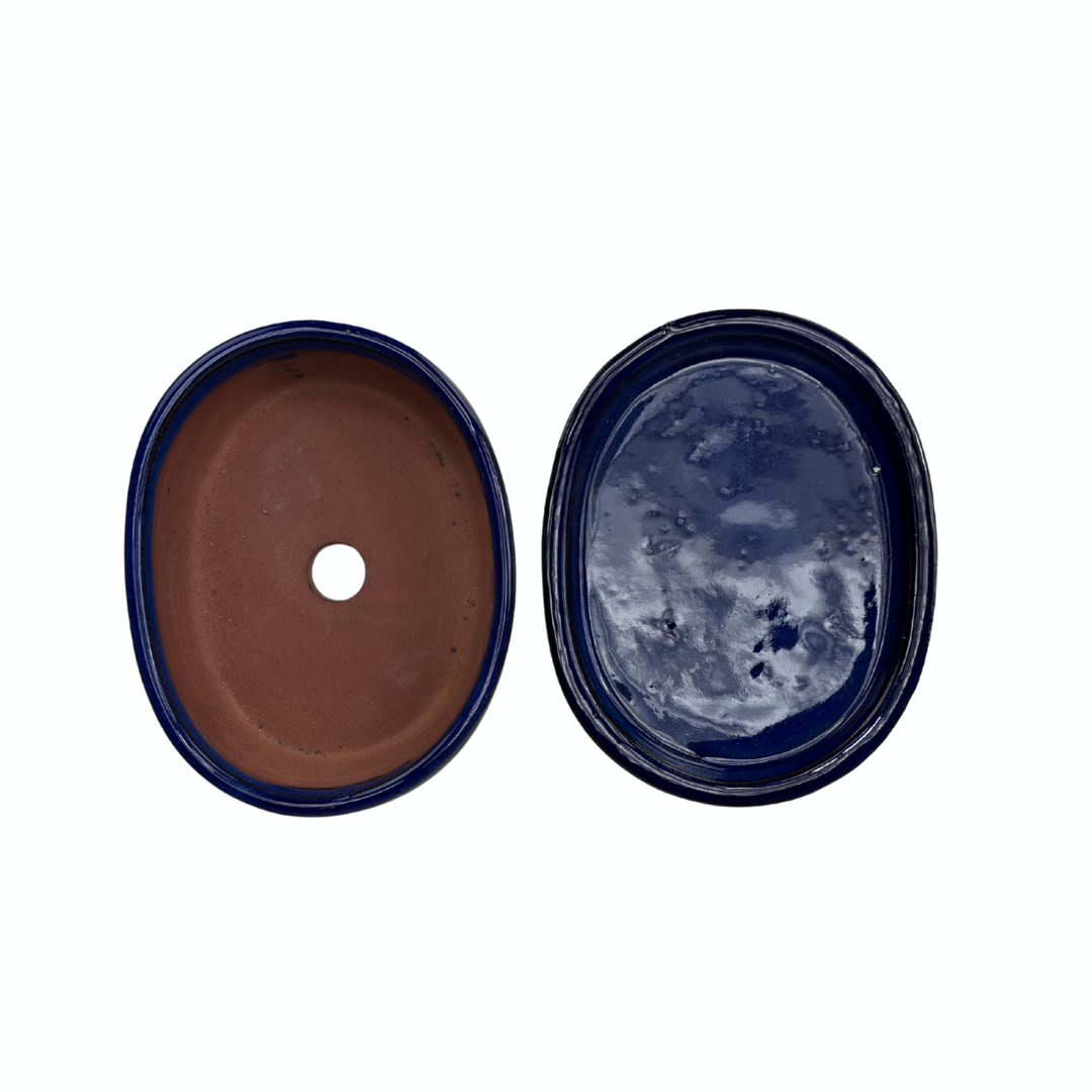 Pot à bonsaï ovale bleu 16 cm - lot