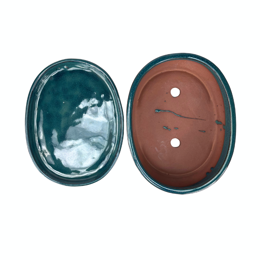 Pot à bonsaï ovale vert 16 cm - ensemble