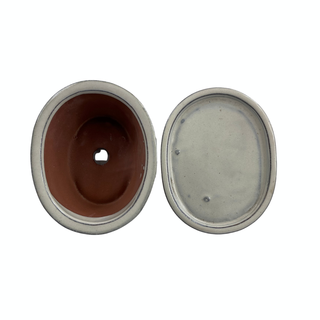 Pot à bonsaï ovale crème 31 cm - ensemble