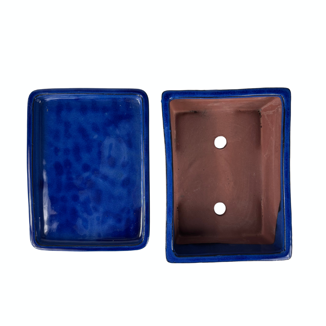 Pot à bonsaï rectangulaire bleu 30 cm - ensemble