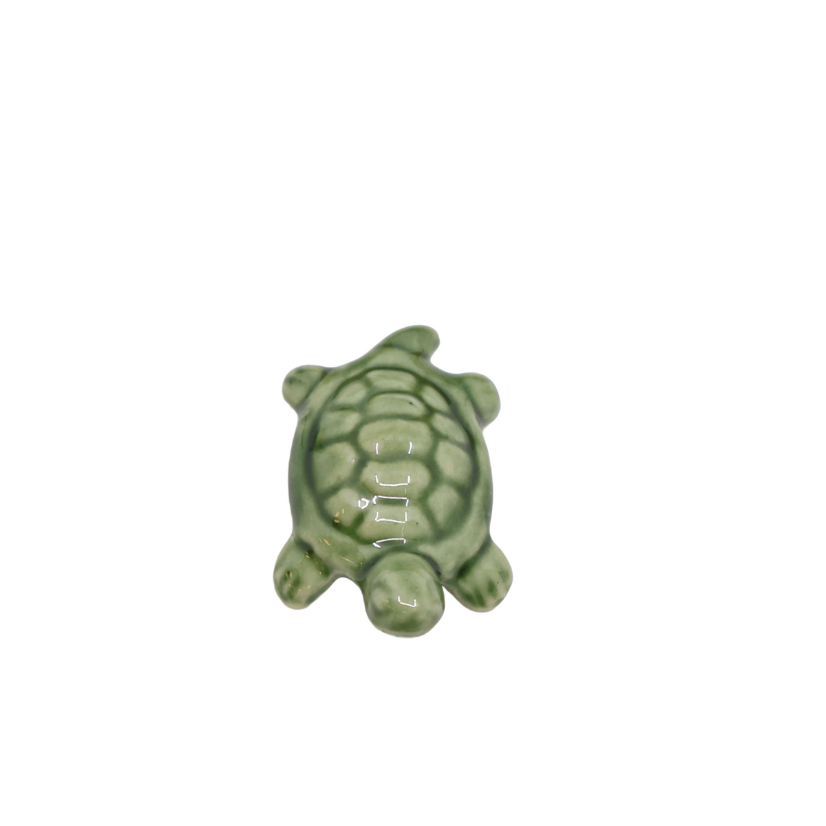 Bonsaï Tenpai / Tortue (céramique)