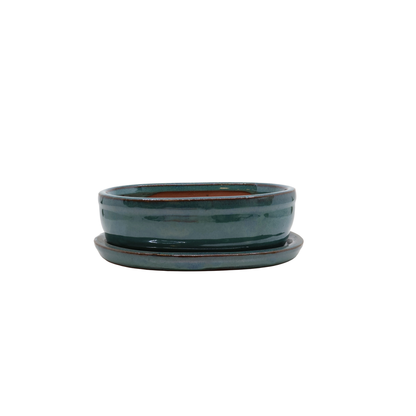 Pot à bonsaï ovale vert 16 cm - ensemble