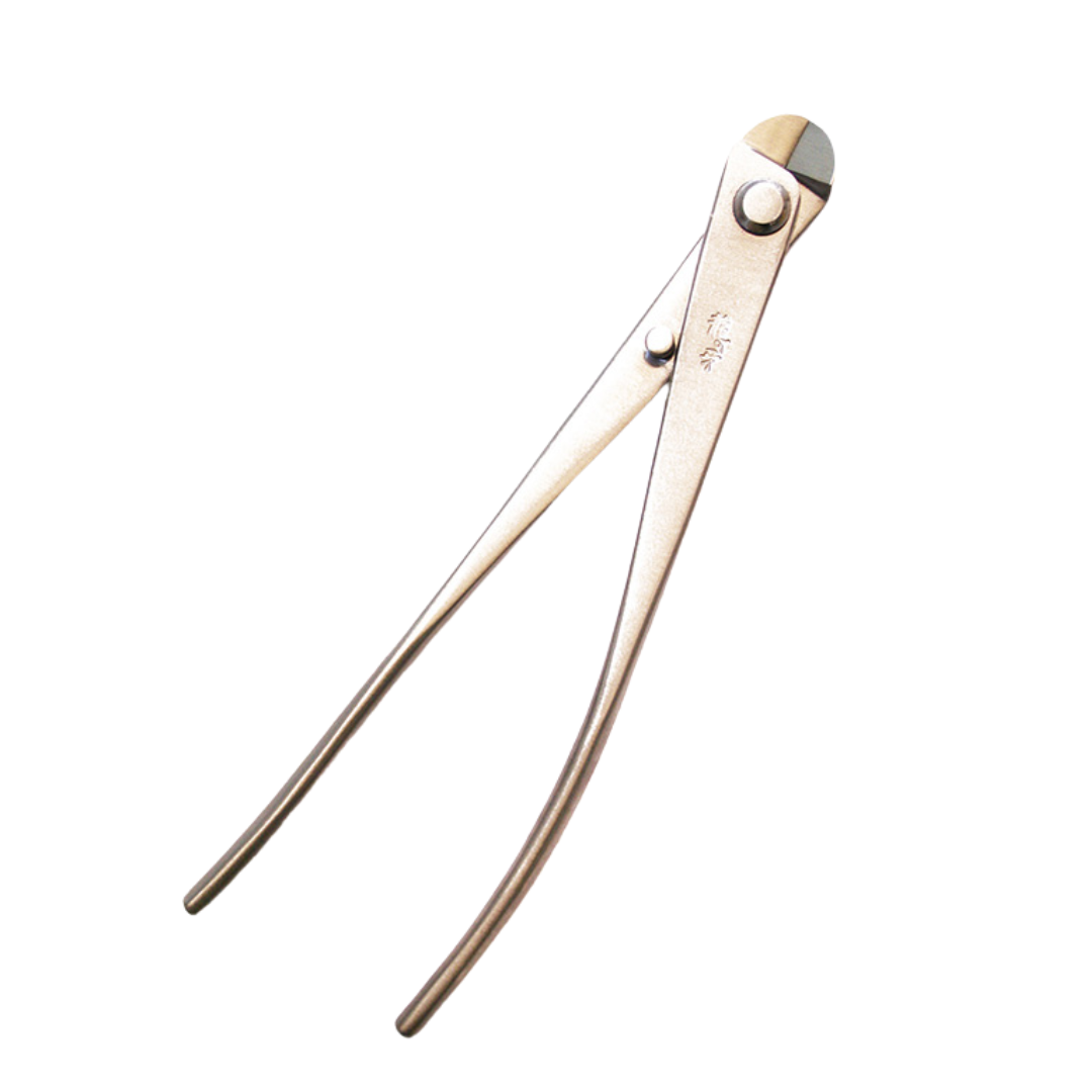 Pince à fil Bonsai Ryuga en acier inoxydable 180 mm