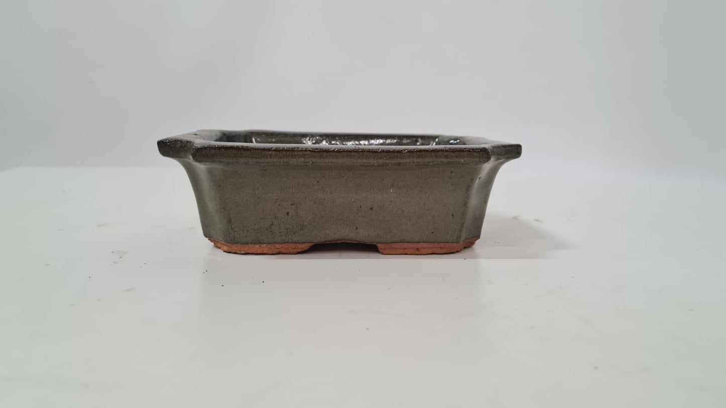 Soucoupe pour bonsaï verte 15 cm