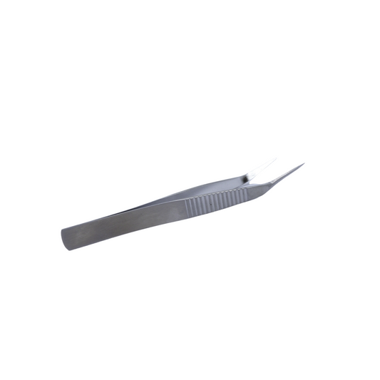 Pince à couper pour bonsaï en acier inoxydable 122 mm