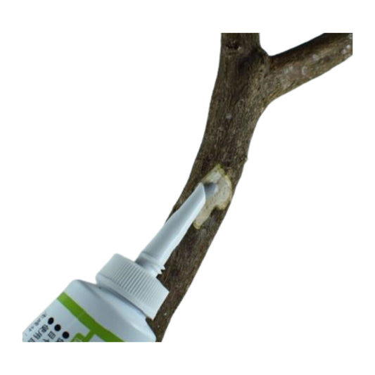 Pâte cicatrisante liquide pour bonsaï (Kiyonal Ace 100 g)