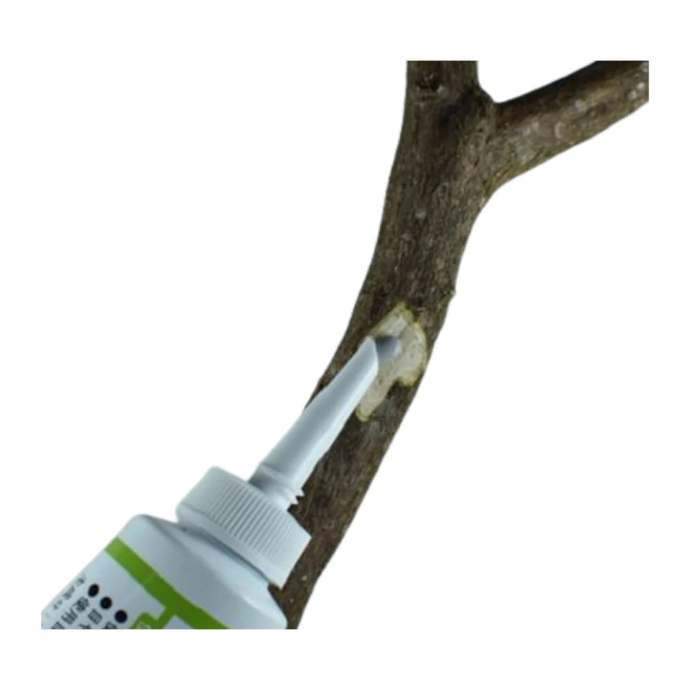 Pâte cicatrisante liquide pour bonsaï (Kiyonal Ace 100 g)
