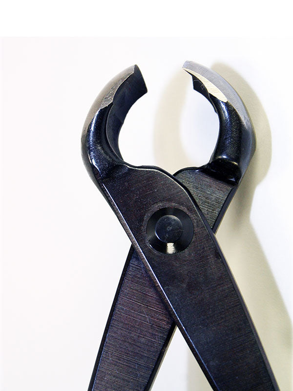 Pince à bouton pour bonsaï 210 mm