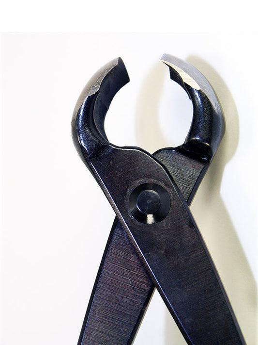 Pince à bouton pour bonsaï 210 mm