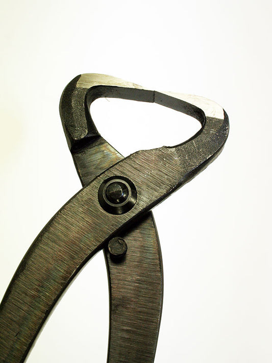 Séparateur de tronc de bonsaï 270 mm