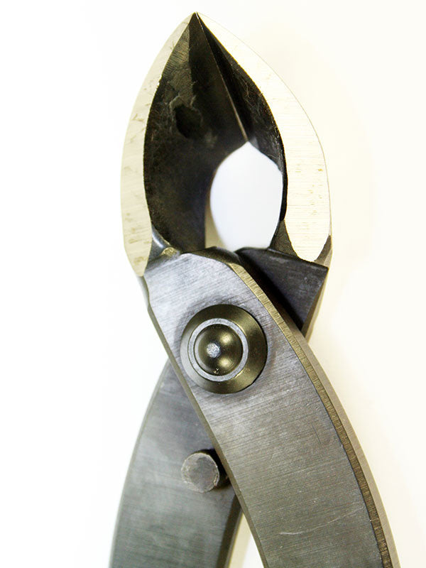 Pince concave pour bonsaï 270 mm