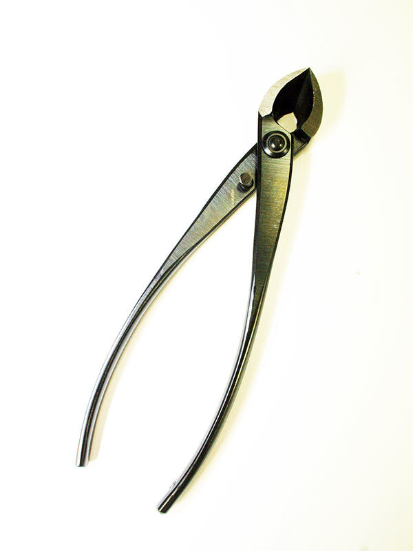 Pince concave pour bonsaï 170 mm