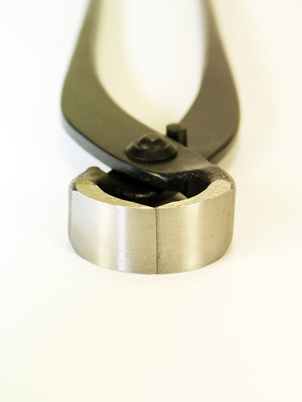 Pince à racines pour bonsaï 210 mm