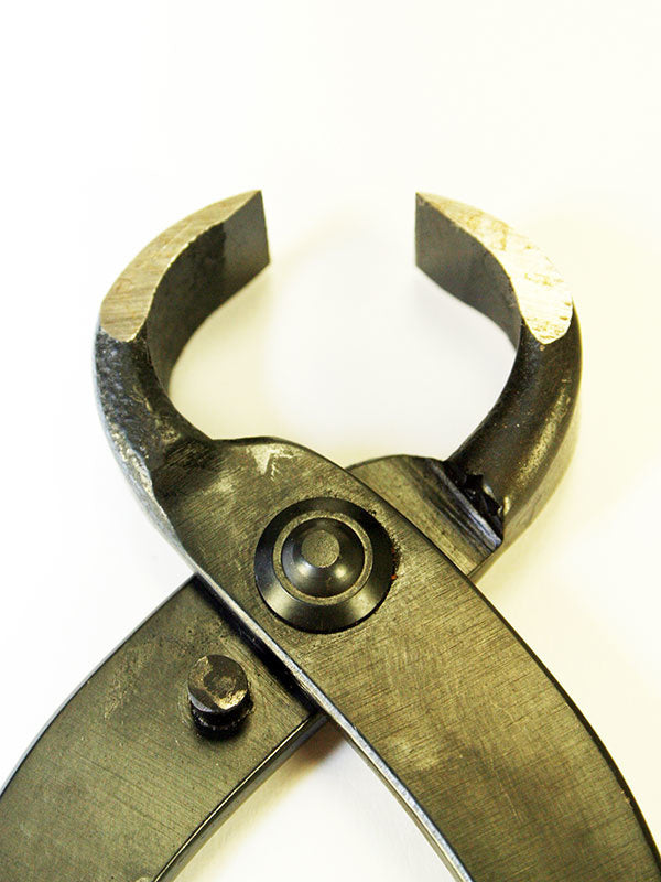 Pince à racines pour bonsaï 210 mm