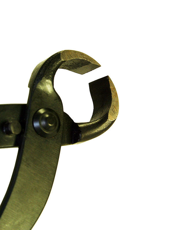 Pince à racines pour bonsaï 210 mm