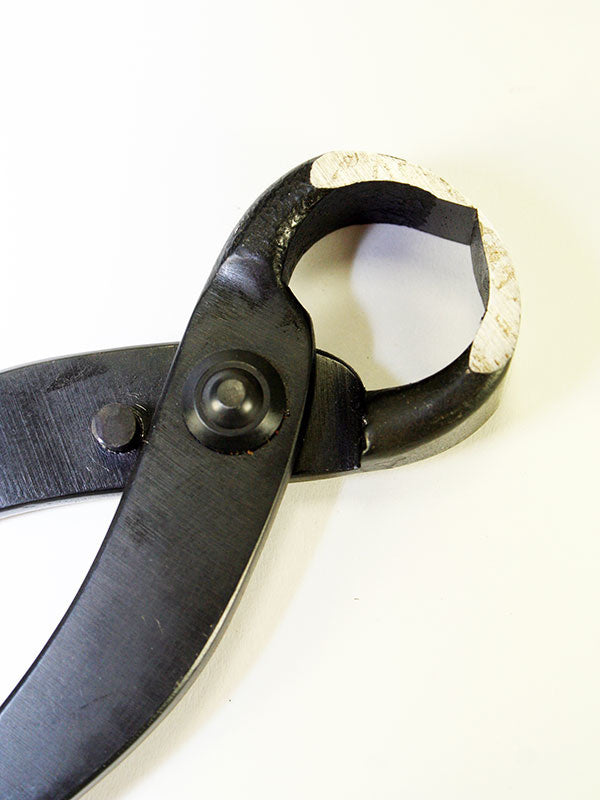 Pince à racines pour bonsaï 210 mm