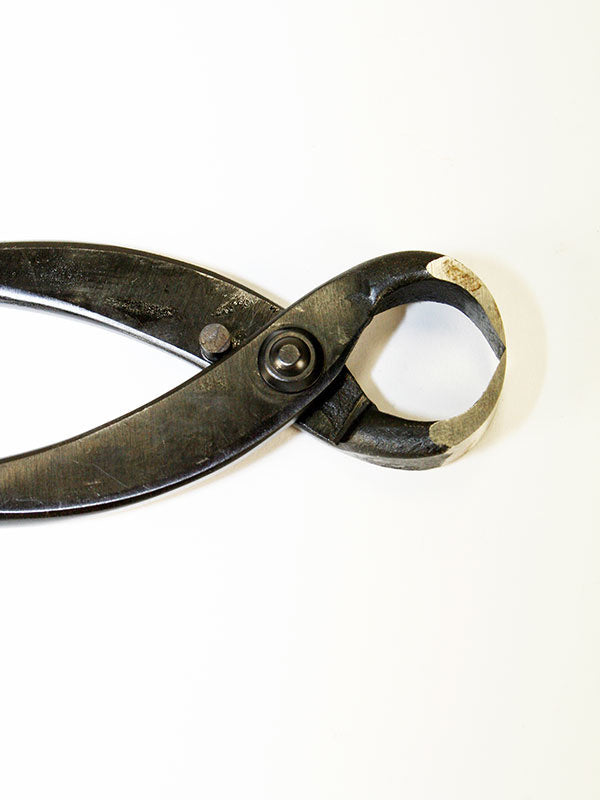 Pince à racines pour bonsaï 180 mm