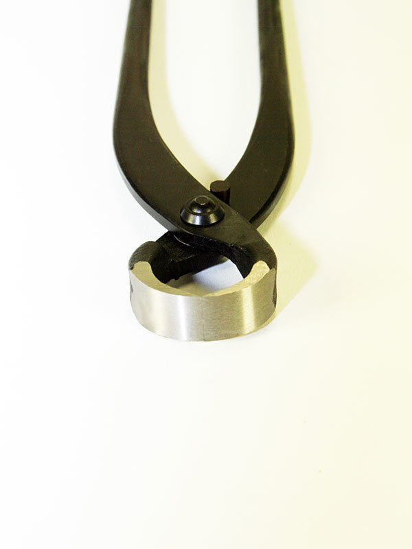 Pince à racines pour bonsaï 180 mm