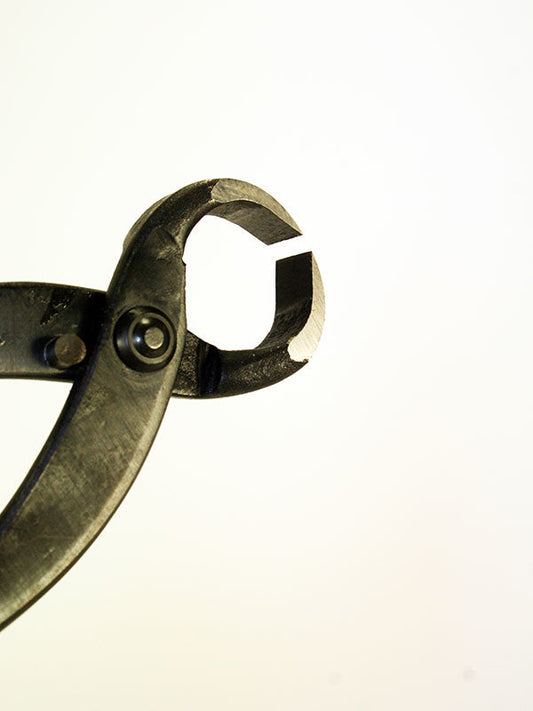 Pince à racines pour bonsaï 180 mm