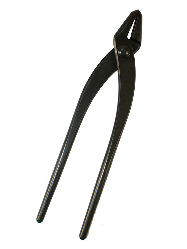 Bonsaï Jintang 180 mm