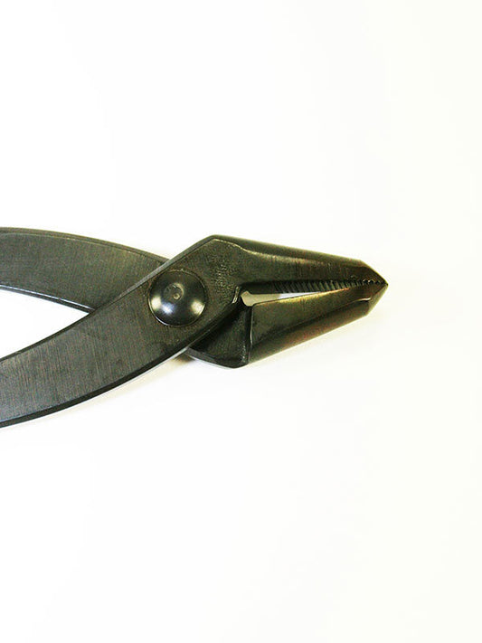 Jintang pour bonsaï 180 mm