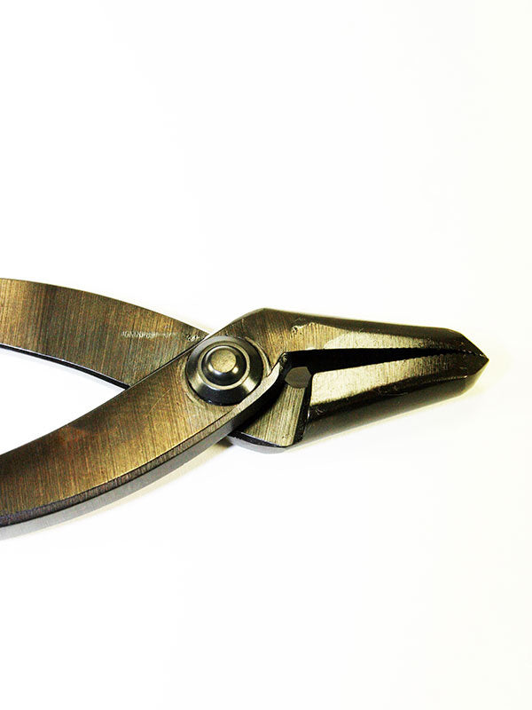 Brosses Jintang pour bonsaï 230 mm