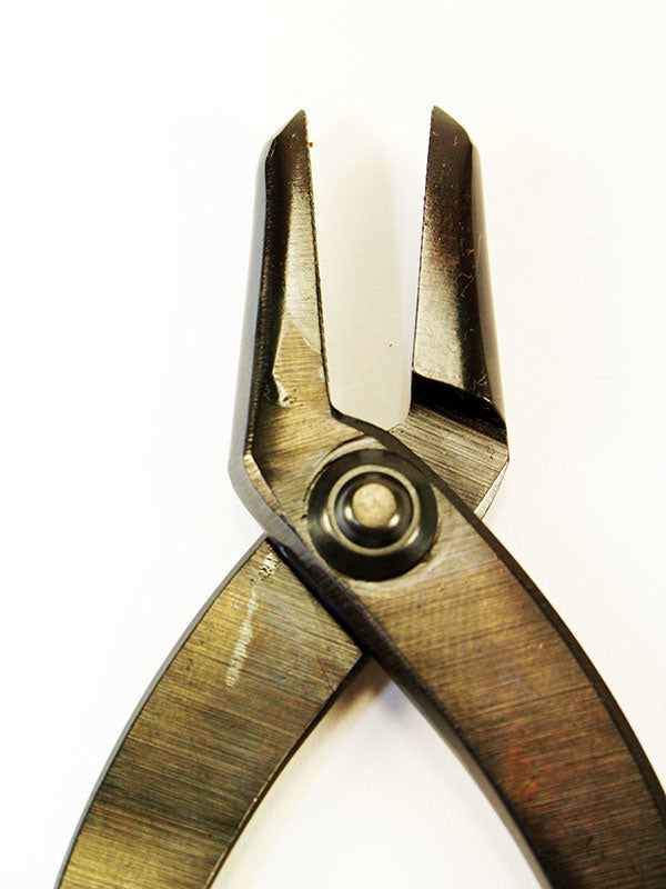 Brosses Jintang pour bonsaï 230 mm