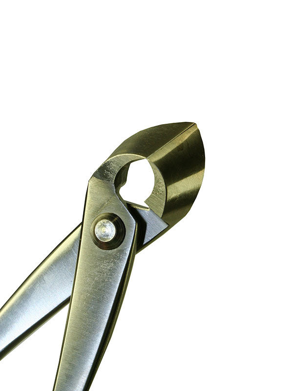Pince concave pour bonsaï en acier inoxydable 180 mm