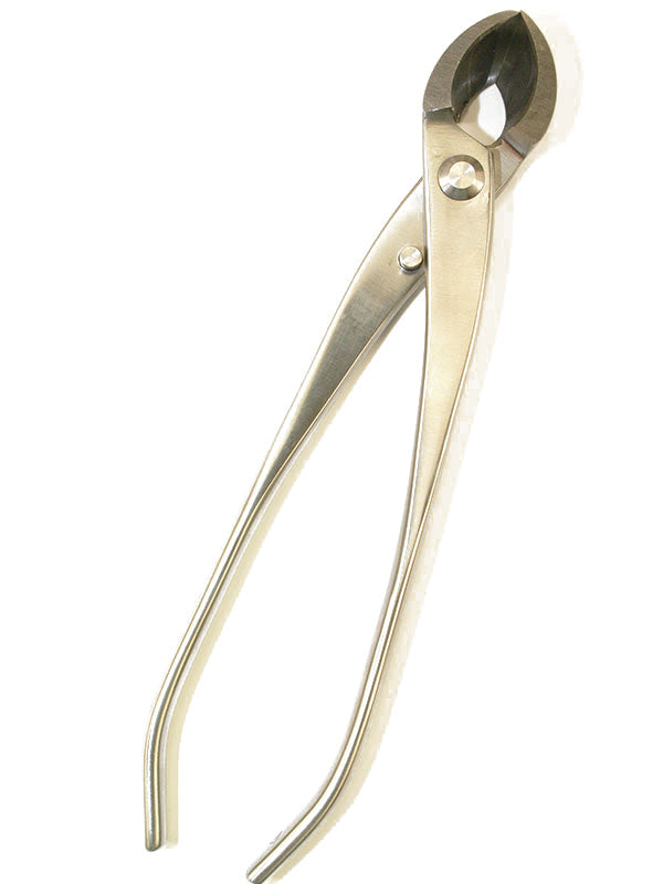 Pince concave pour bonsaï - Sphérique en acier inoxydable 205 mm