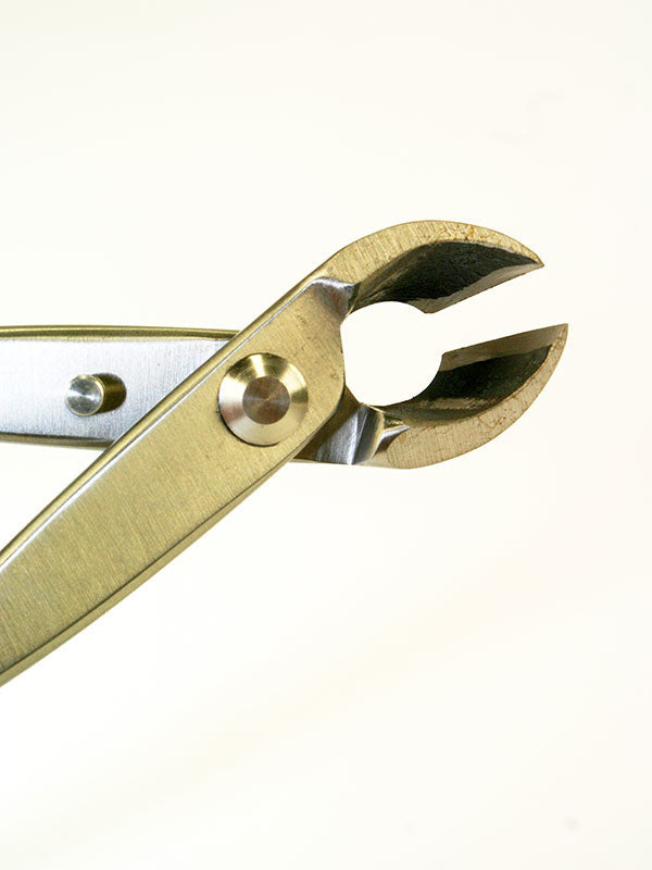 Pince à bonsaï concave - Sphérique en acier inoxydable 180 mm