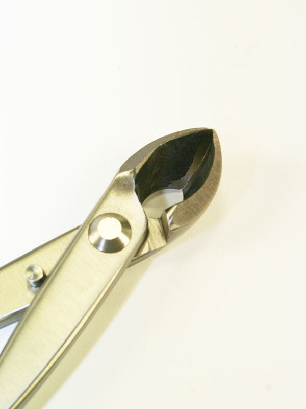 Pince à bonsaï concave - Sphérique en acier inoxydable 180 mm
