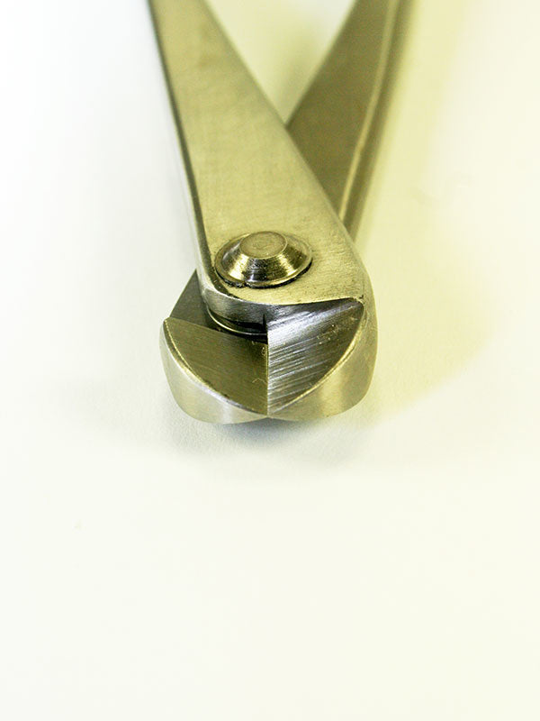 Pince à fil pour bonsaï en acier inoxydable 200 mm