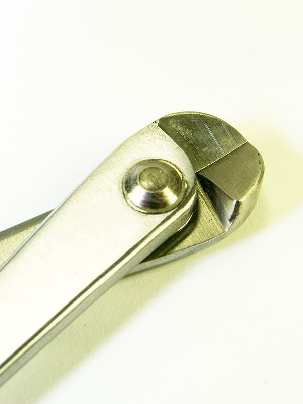 Pince à fil pour bonsaï en acier inoxydable 200 mm