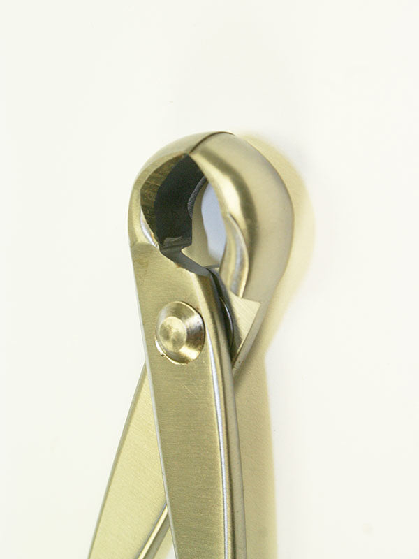Pince à nœuds pour bonsaï en acier inoxydable 180 mm
