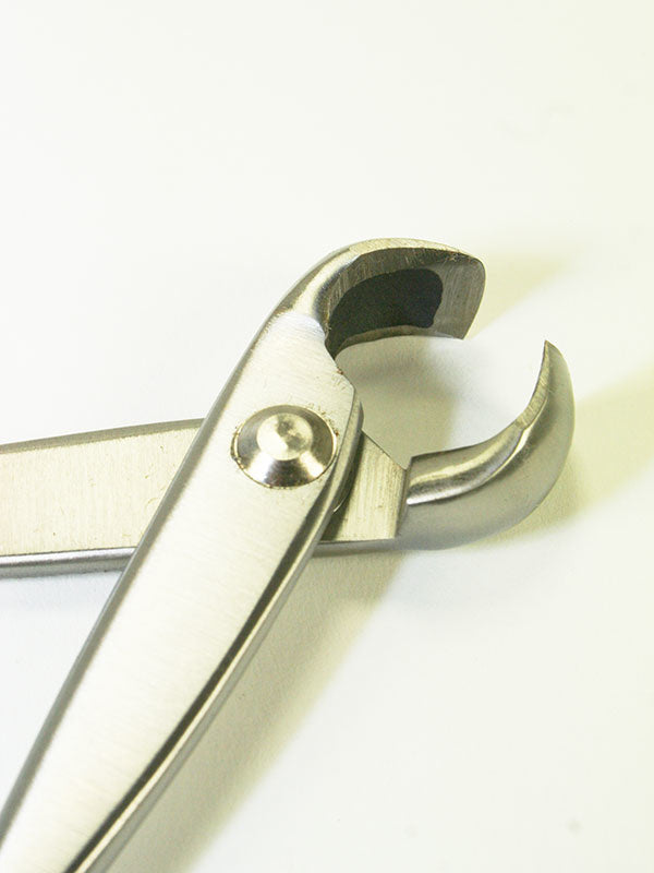 Pince à nœuds pour bonsaï en acier inoxydable 180 mm